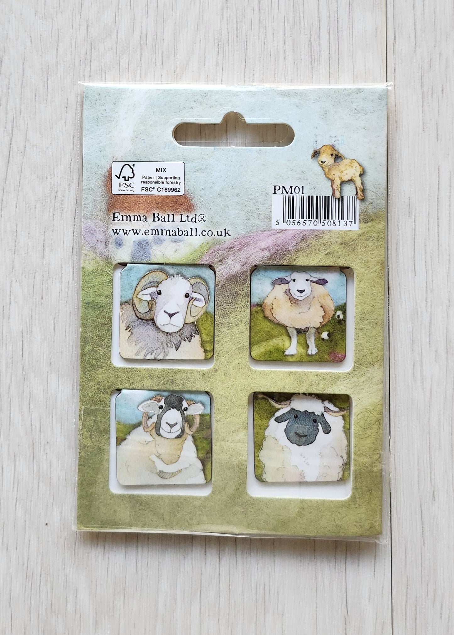 emma ball magnetic bookmark set